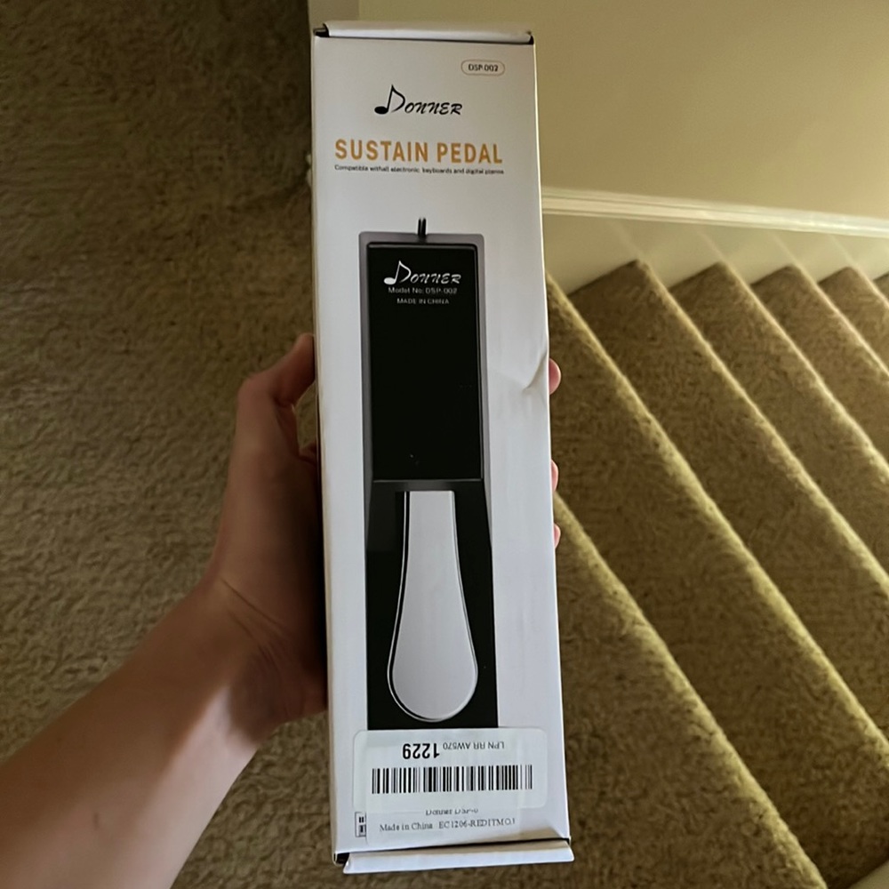 Donner sustain pedal
